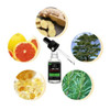 VikingBeard™ 100% Natural Organic Beard Growth Oil VikingBeard™ 100% Natural Organic Beard Growth Oil