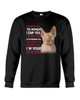 Sphynx Cat Wanted Moment Love Protect Sweatshirt Sweater