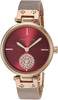 Anne Klein Women's Swarovski Crystal Accented Mesh Bracelet Gold-Tone Watch