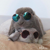 Rockstar Sunglasses for Rabbits & Bunnies