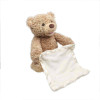Peek-a-Boo Plush Teddy Bear