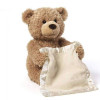Peek-a-Boo Plush Teddy Bear