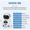 Voice Recognition Mini Pocket Robot