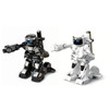 Remote Control Boxing Robot