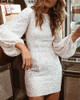 Glitter Round Neck Lantern Sleeve Sequins Bodycon Dress