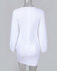 Glitter Round Neck Lantern Sleeve Sequins Bodycon Dress