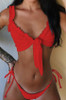 Blissful Bikini Red Bikini