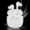 5.0 Wireless Bluetooth Earbuds