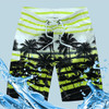 2020 Men Summer Style Beach Quick Dry Coconut Tree Printing Shorts