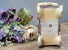 Vintage Covered Wagon Planter, Matte Vintage Covered Wagon Planter, Matte