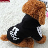 Dog Bone Hoodie