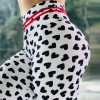Women Sporting Fitness Legging