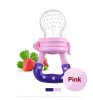 Baby Safe Food Pacifier