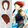 Hunter X Hunter Hisoka Wig Cosplay