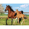 Diamond Painting Horse  Kit