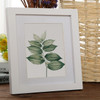 Multicolor picture frame Solid wood picture frame wall picture frame  Decorative picture frame 2018 New arrival