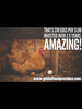 Sponsor A Baby Egg Laying Chicken Sponsor A Baby Egg Laying Chicken