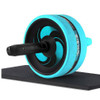 New 2 in 1 Ab Roller&Jump Rope