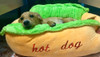 HOT DOG Bed for Dogs