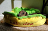HOT DOG Bed for Dogs