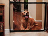 Mesh Dog Gate