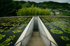 【Famous Architecture Project】Templo Budista- Tadao Ando-Architectural CAD Drawings