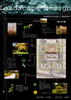 ★Architectural Competition Portfolio V23 (Free Downloadable)