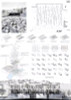 ★Architectural Competition Portfolio V19 (Free Downloadable)