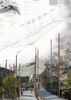 ★Architectural Competition Portfolio V19 (Free Downloadable)