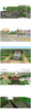 ★Best 20 Types of Park Landscape Sketchup 3D Models Collection V.1