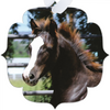 Morgan Horse Baby Metal Ornament