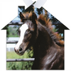 Morgan Horse Baby Metal Ornament