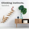 Pet Wooden Cat Climbing Frame Wall-mounted Ladder Cat Steps Cat Scratching Board Cat Toy Multi-layer Cat Frame Sisal Tie Rope