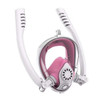 Double Snorkels Breathing New Diving Mask