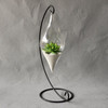 Earthen Hanging Terrarium