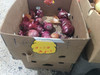Onion
