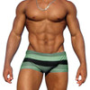 Sunga Striped Swimsuit (Multiple colors)