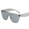 Millennium Sunglasses (Multiple Colors)
