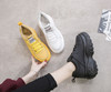 Casaul Shoes Woman High Platform Sneakers Women New 2020 Spring Female Shoes Black White Sneakers For Women Breathable 40
