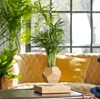 Lyfe Planter