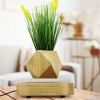 Lyfe Planter
