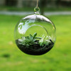 Transparent Clear Glass Round for Gardening