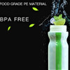 Insulated Mist Spray Water Bottle (17oz)