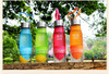 Fruit Infusion Water Bottle 650ml