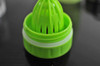 Fruit Infusion Water Bottle 650ml