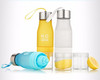 Fruit Infusion Water Bottle 650ml