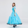 Alice in Wonderland Costume