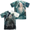 LORD OF THE RINGS Gandalf The White AOP Graphic Tee