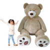 Giant Teddy Bear Giant Teddy Bear