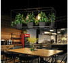 Metta - Wrought Iron Suspended Planter Lamp